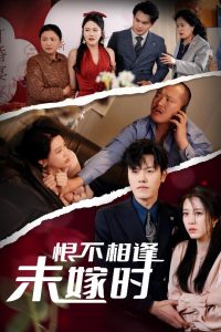 恨不相逢未嫁时30集